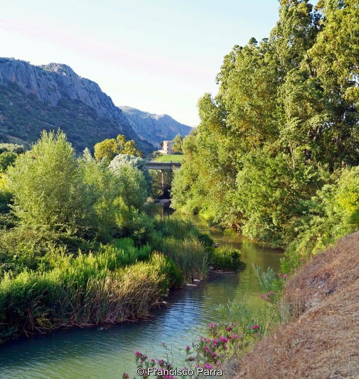 Casa Rural El Nacimiento Benaoján Exteriér fotografie